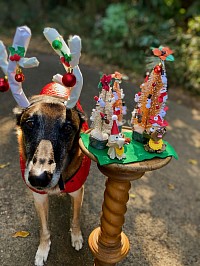 ミニクリスマスツリーとトナカイさん